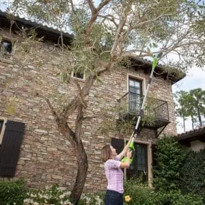 40V višinska žaga 20cm in višinske škarje 51cm