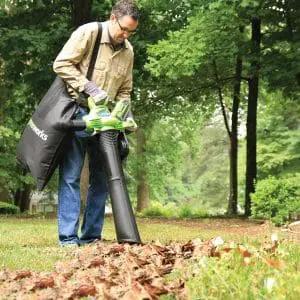 40V puhalnik in sesalnik  z brezkrtačnim DIGIPRO motorjem