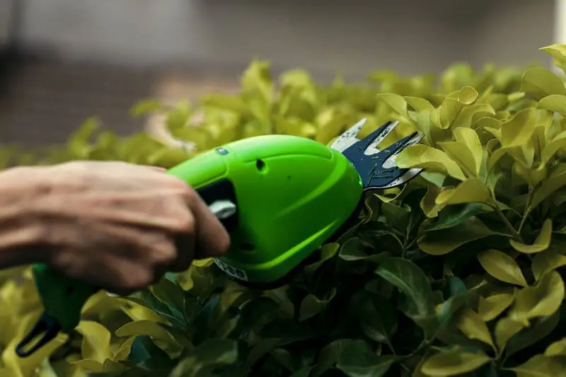 3,6V Škarje za travo z ročajem