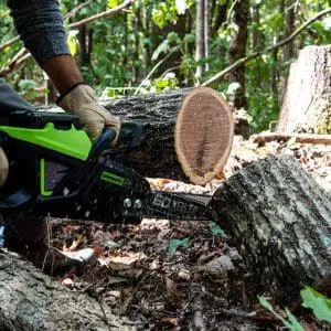 60V verižna žaga 40cm z brezkrtačnim DIGIPRO motorjem