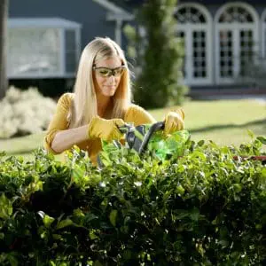 40V škarje za živo mejo 61cm