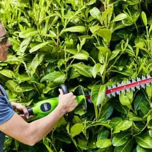 24V 61cm škarje za živo mejo, z 2Ah baterijo in polnilnikom GD24HT61K2