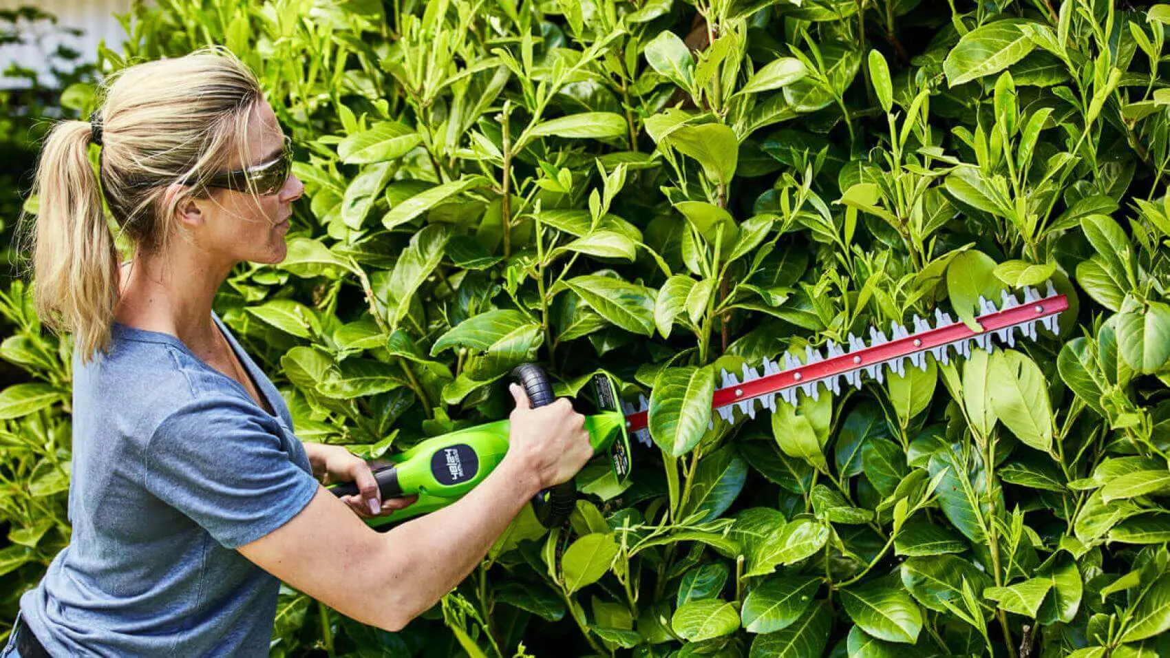 24V 61cm škarje za živo mejo, z 2Ah baterijo in polnilnikom GD24HT61K2